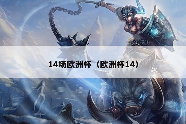 14场欧洲杯（欧洲杯14）